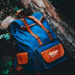 Blue and brown backpack on a log in São Paulo's forest, ideal for adventure.